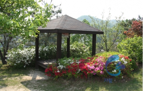 추모공원 수목장 by 가람퓨너럴
