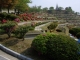 공원묘지 #4