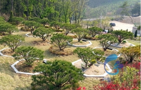 자연장 수목장 by 가람퓨너럴